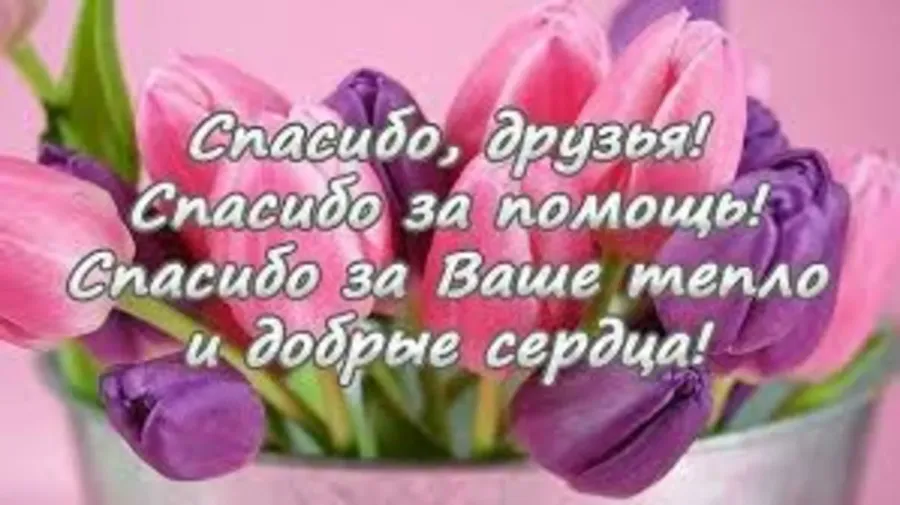 Ваше внимание и поддержка. Спасибо за поддержку. Спасибо за помощь. Спасибо большое за поддержку. Благодарность друзьям за поддержку.