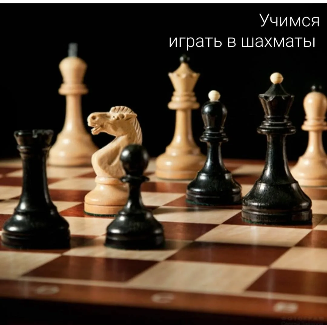 Фото День шахмат 2024, поздравление шахматисту #53