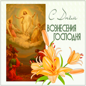 Скачивание изображения #311234