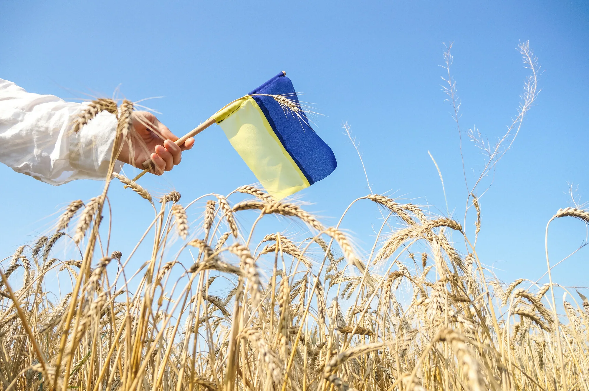 Фото День флага Украины #50