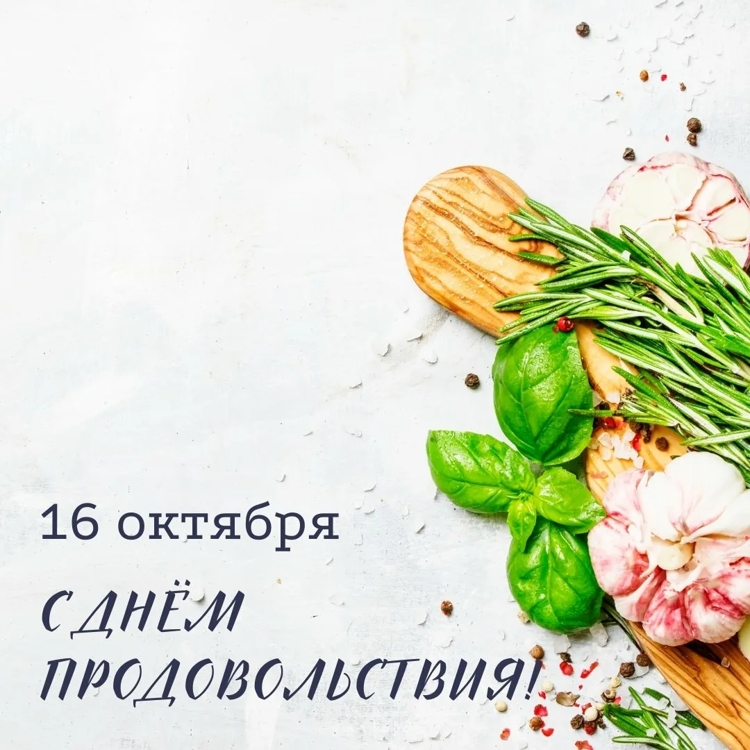 Фото Всемирный день продовольствия #15