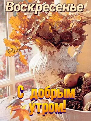 Скачивание изображения #231164