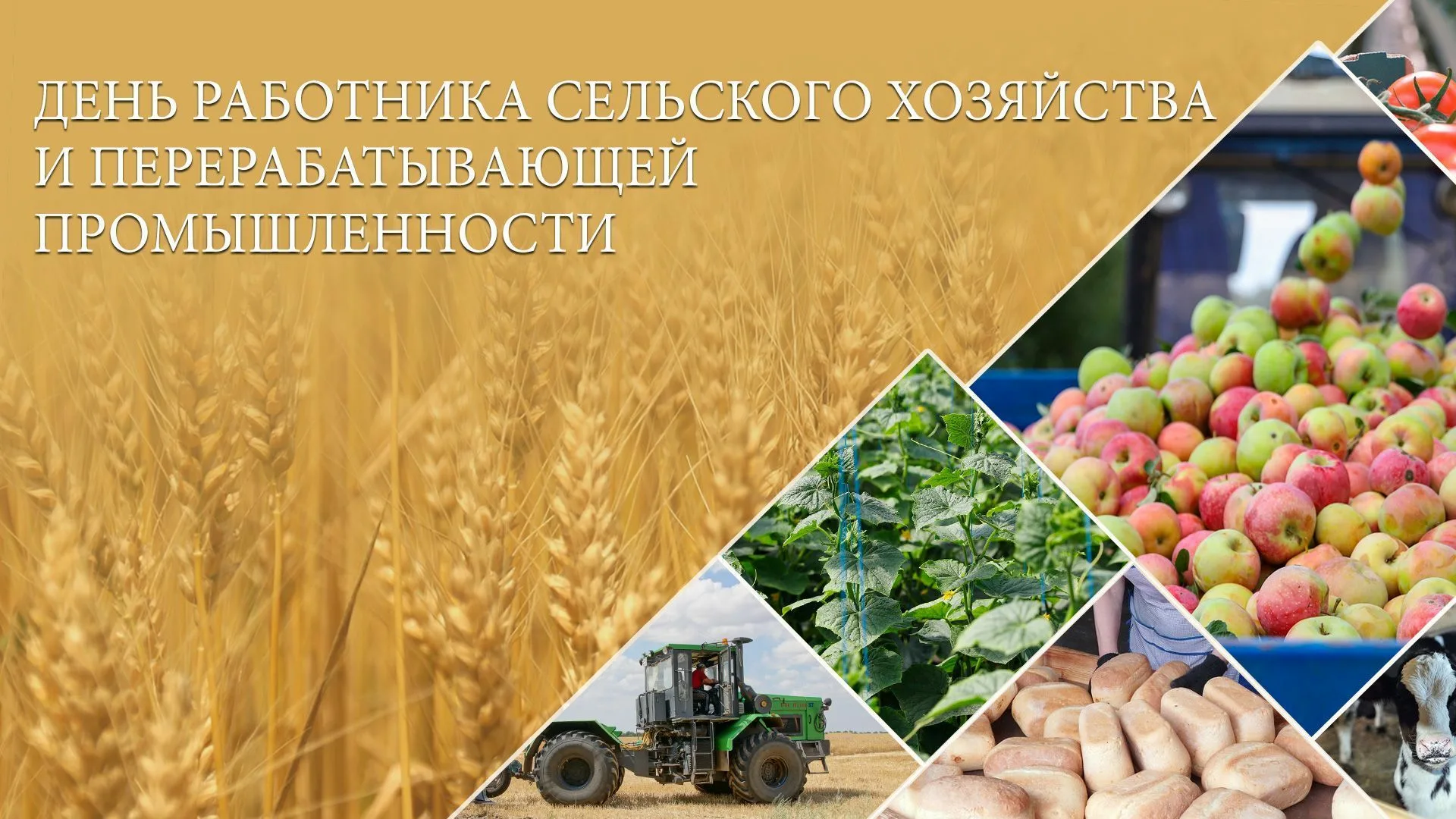 Фото Поздравления с днем работников сельского хозяйства Украины #82