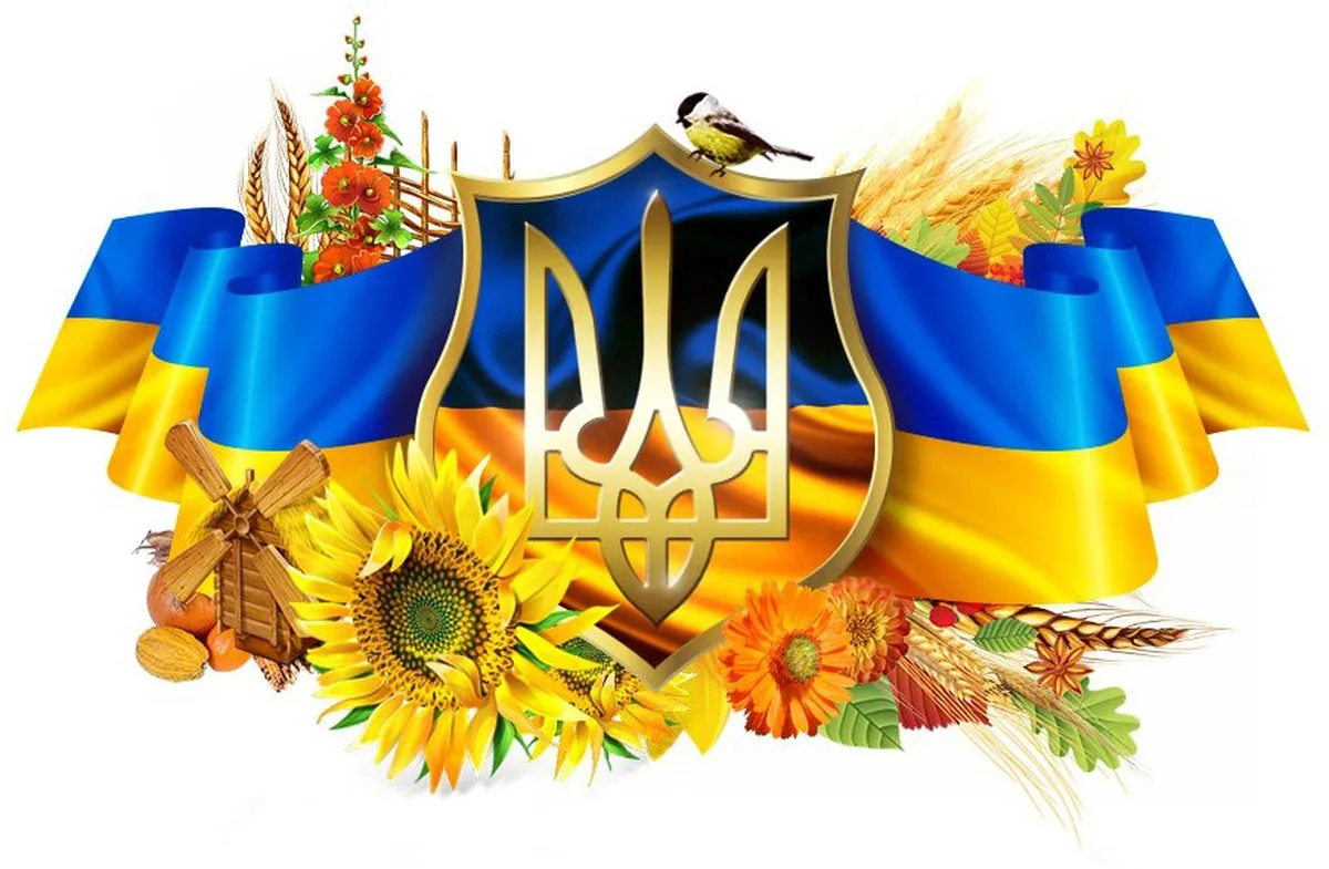 Фото День Конституции Украины #67