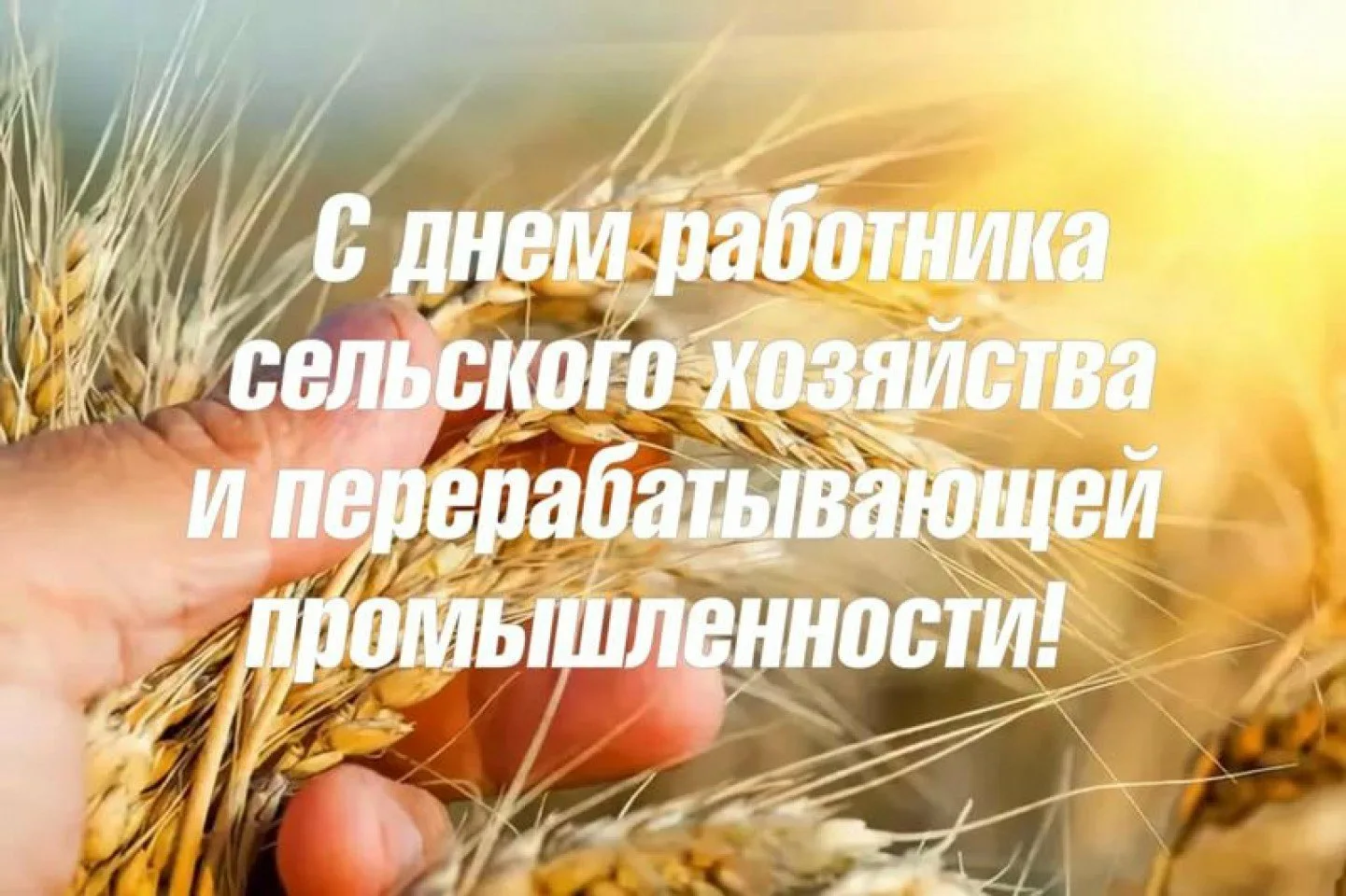 Фото Поздравления с днем работников сельского хозяйства Украины #15