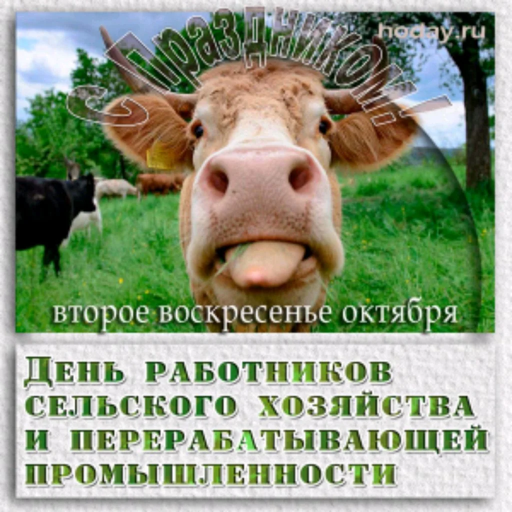 Фото Поздравления с днем работников сельского хозяйства Украины #9