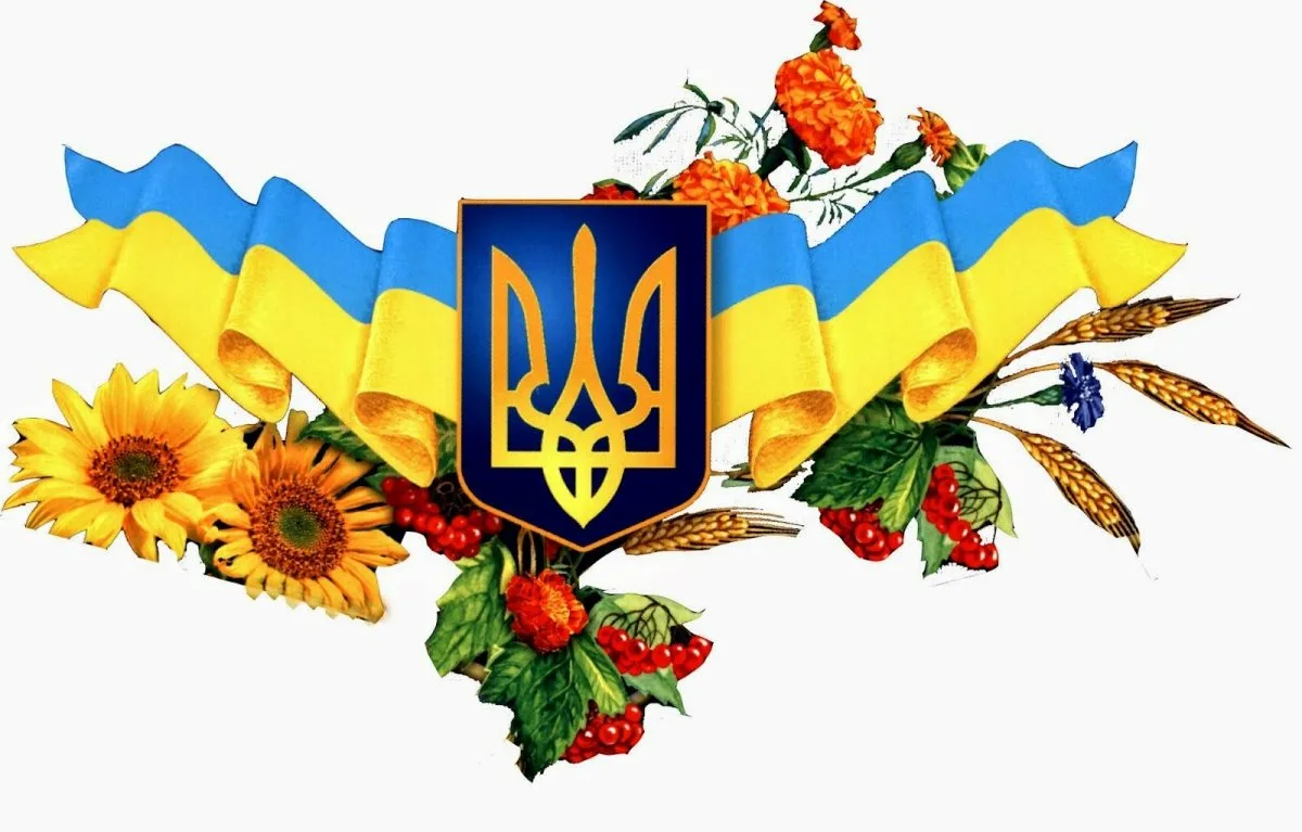 Фото День флага Украины #29