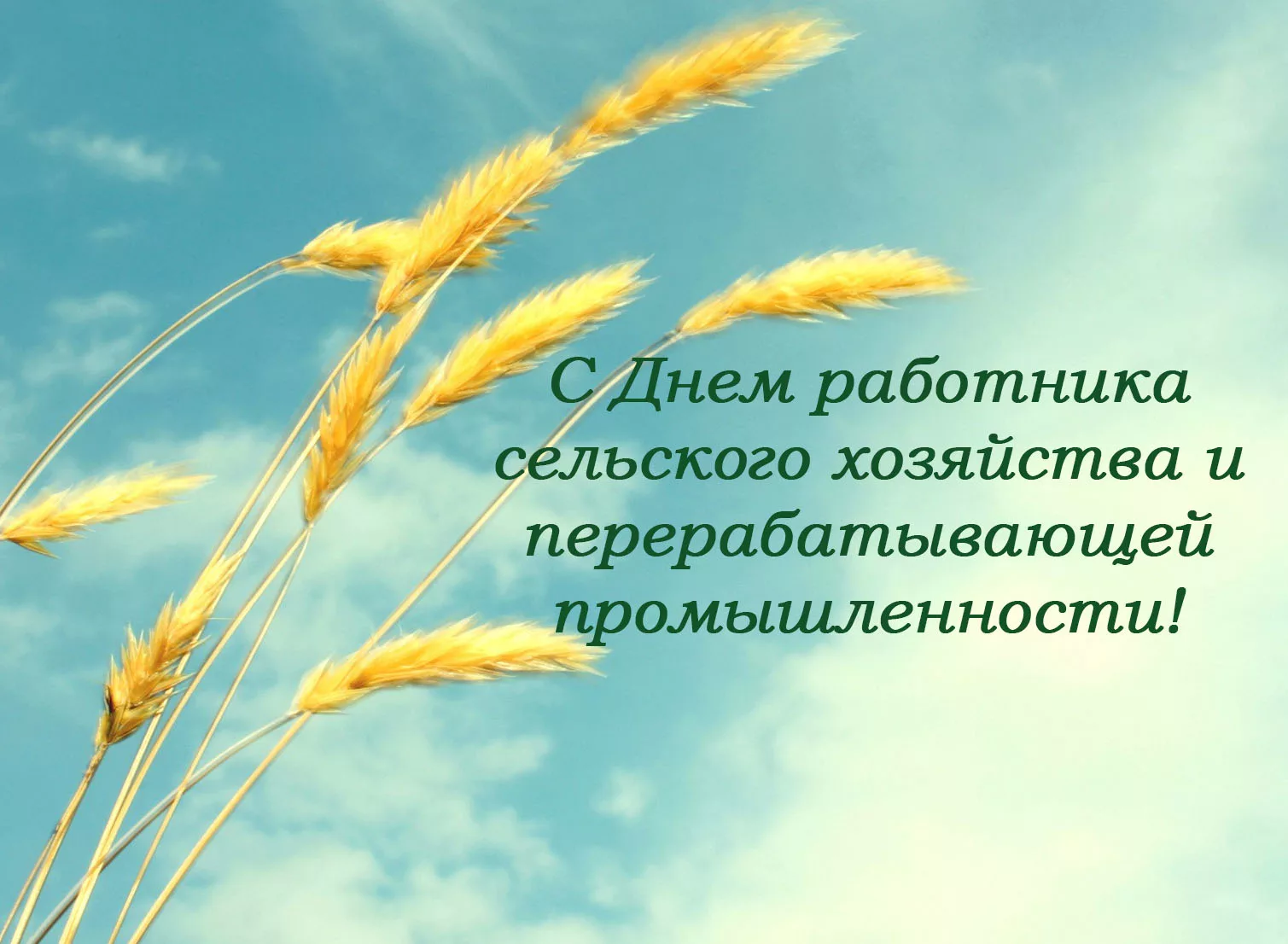 Фото Поздравления с днем работников сельского хозяйства Украины #88