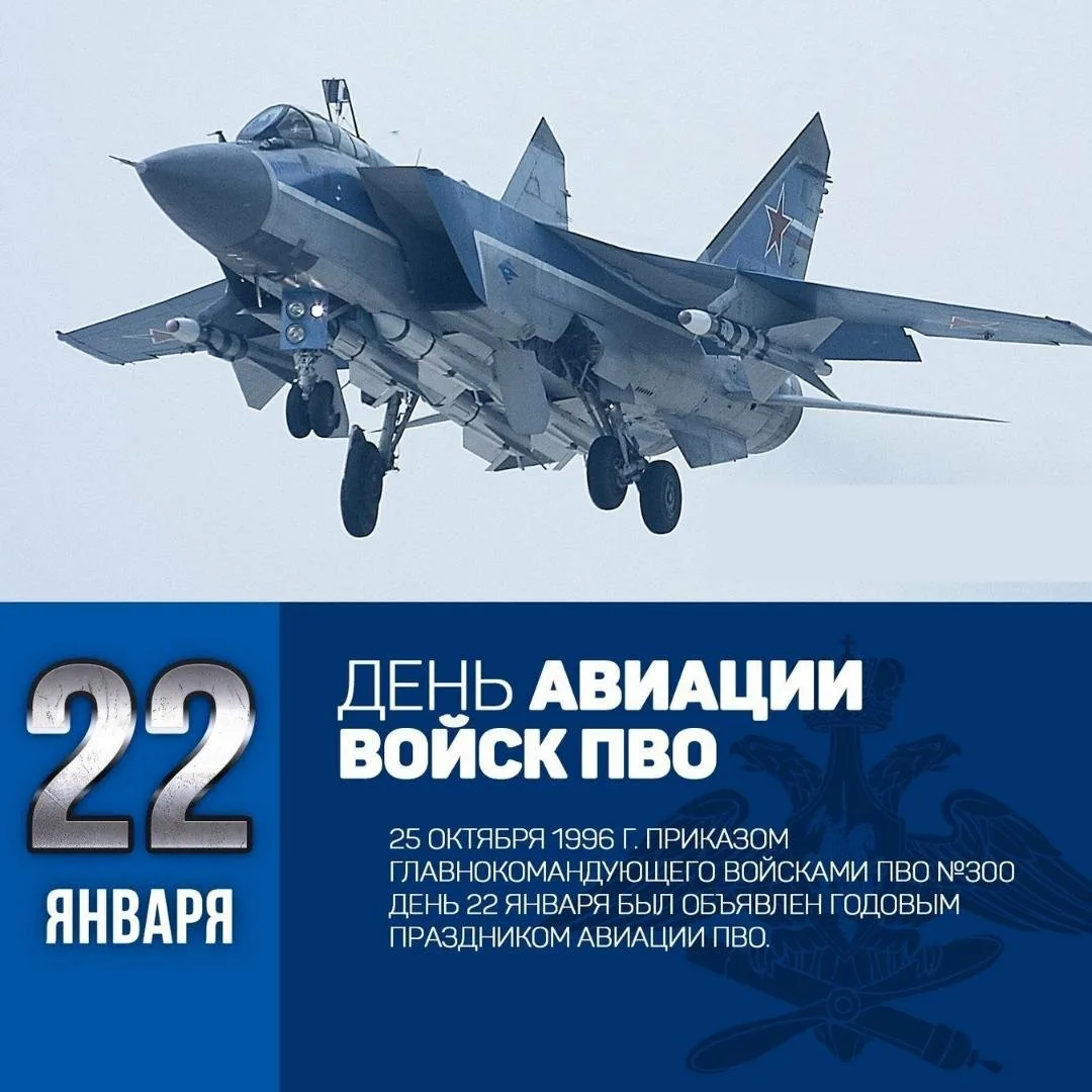 Фото День ВВС 2024. День авиации России #97