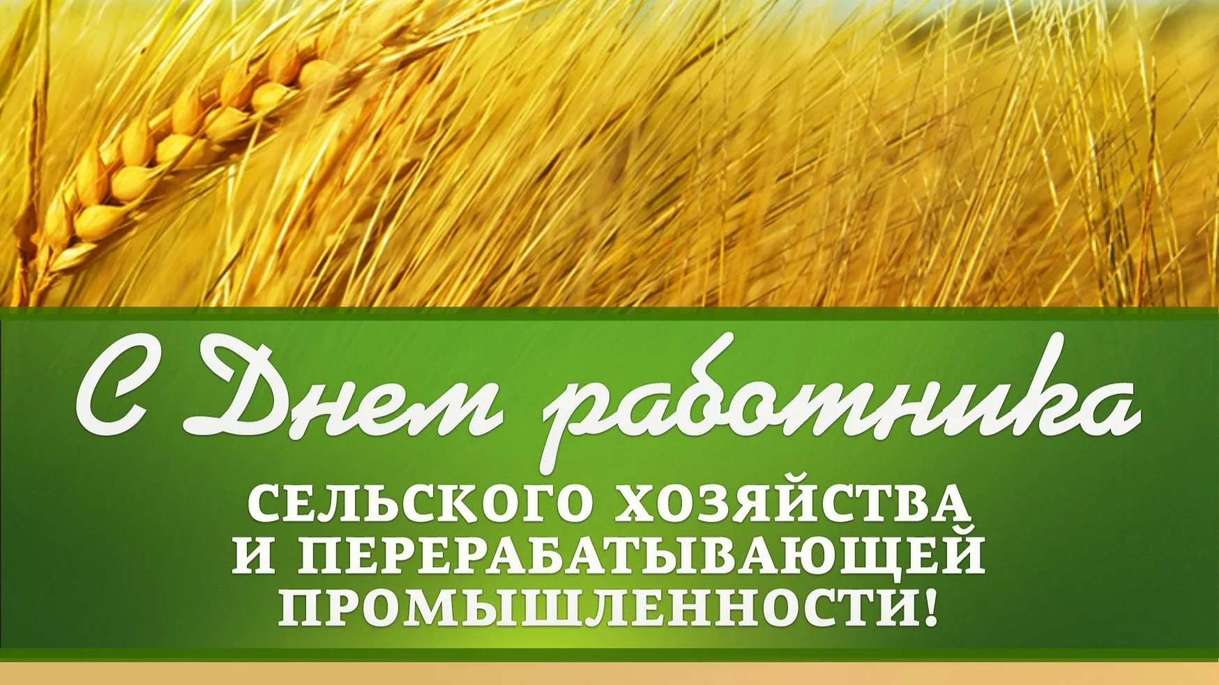 Фото Поздравления с днем работников сельского хозяйства Украины #41