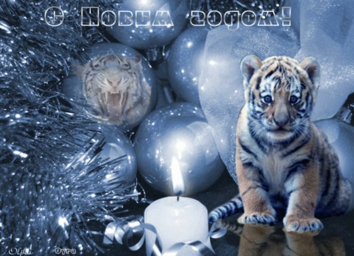 Открытки Новый Год Тигра
