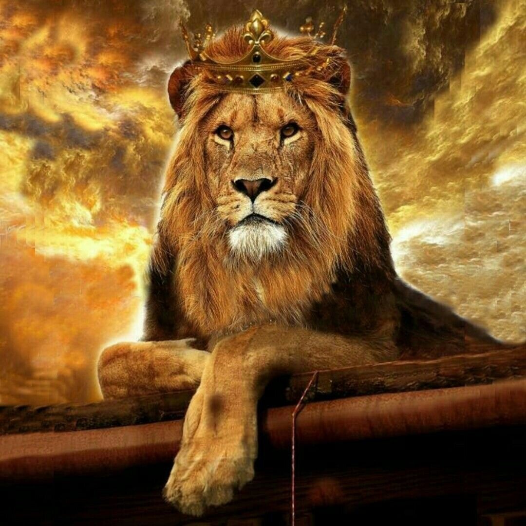 Корона со львом. Красивый Лев. Лев с короной. Изображение Льва. Гордые львы.