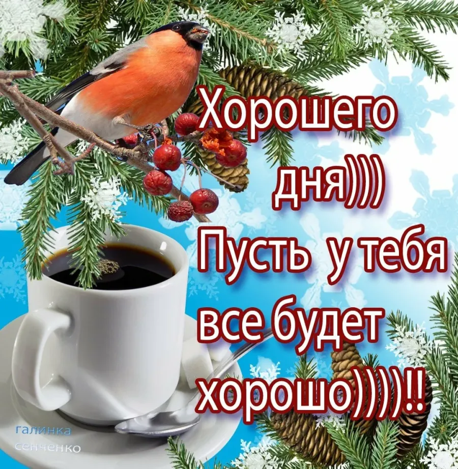 Картинки доброго февральского дня и прекрасного настроения. Доброго зимнего дня. Пожелания с добрым утром зимние. Добро зимнего утро и хорошего дня. Поделания доброго зимнего утра.