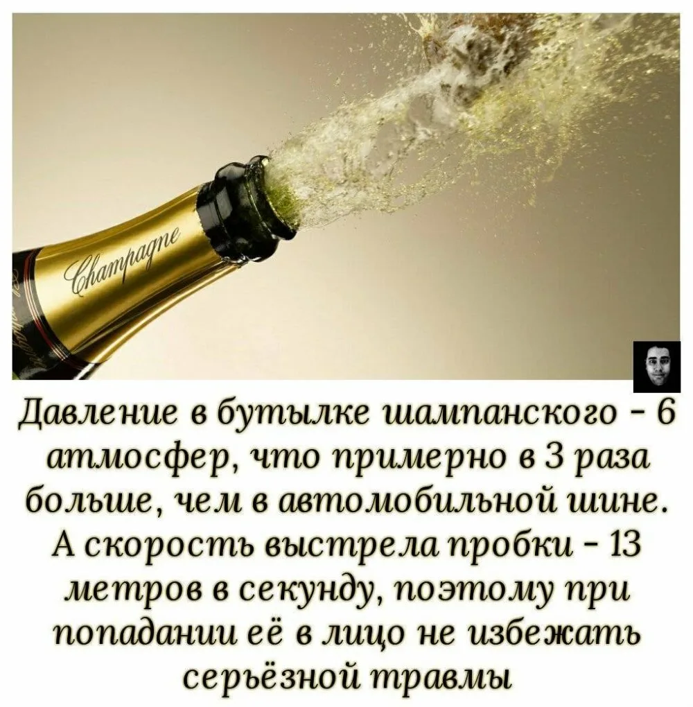 Фото Слова к подарку бутылка шампанского #38