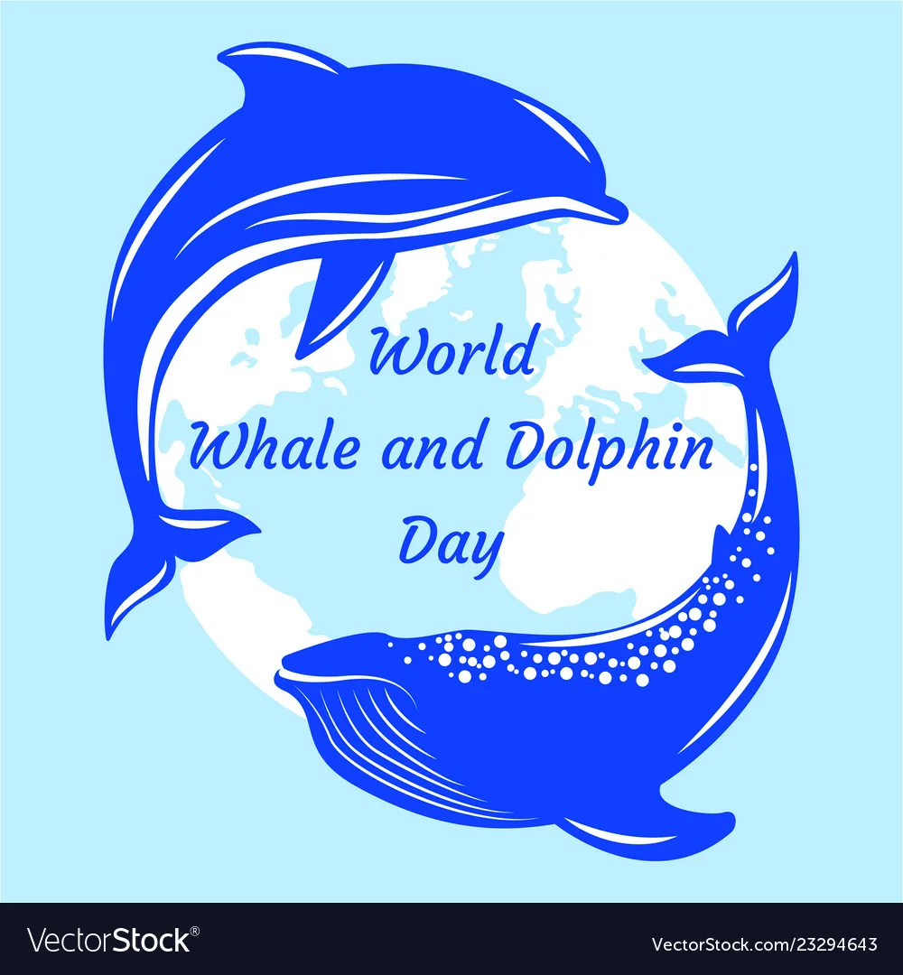 Фото Всемирный день китов и дельфинов 2024 #11
