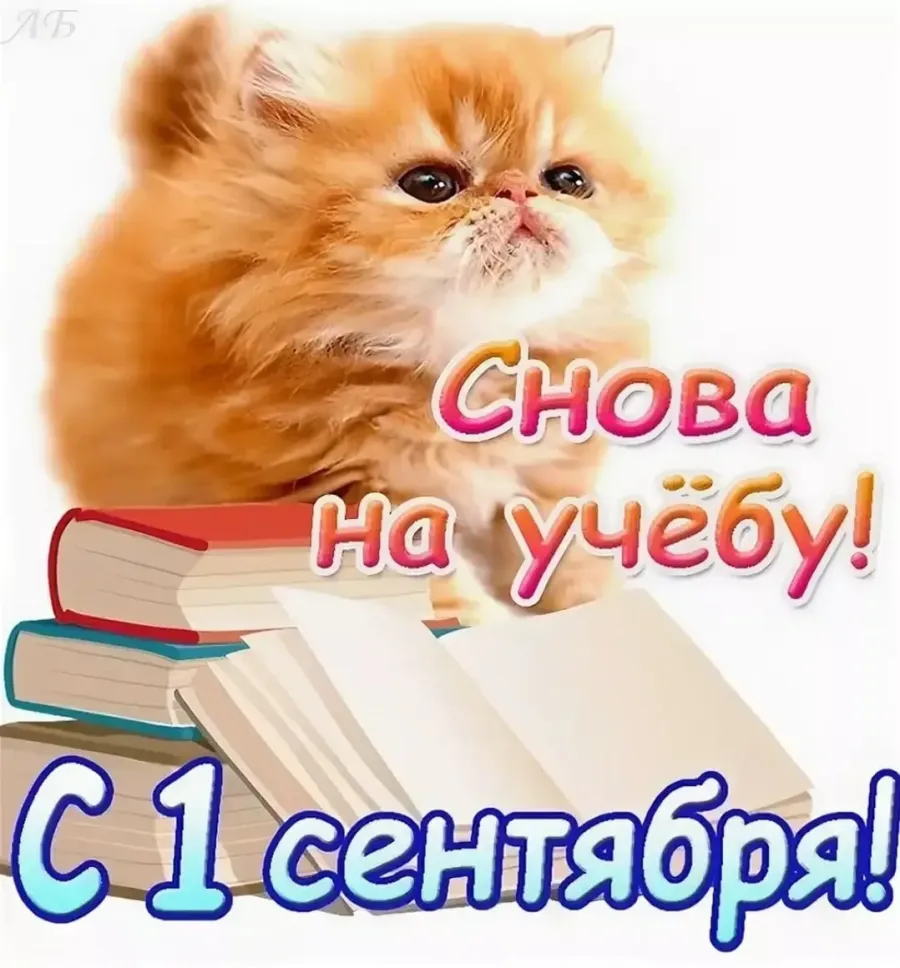 Опять сентябрь. Открытка хорошей учебы. Пожелания в учебе. Открытки про учебу. С 1 сентября котики.