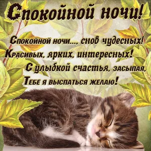 Скачивание изображения #26778