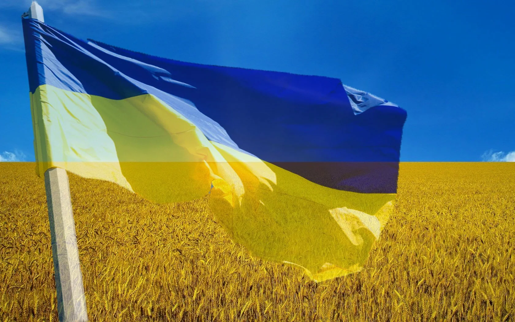 Фото День флага Украины #19