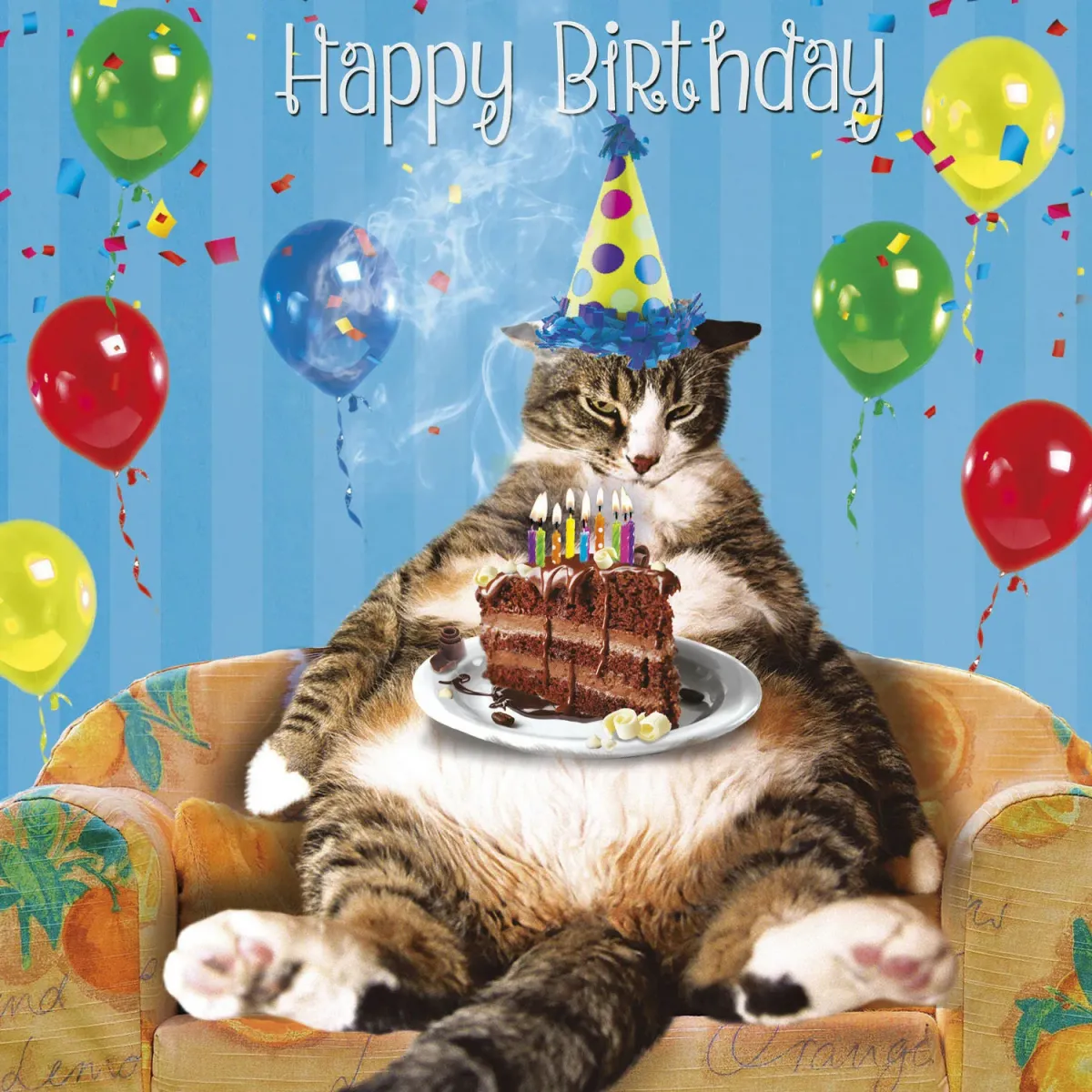 День рождения кота песня. Открытка с днём рождения с котом. Котик поздравляет с днем рождения. Поздравления с днём рождения с котами. Открытка с дне рождения с котиками.