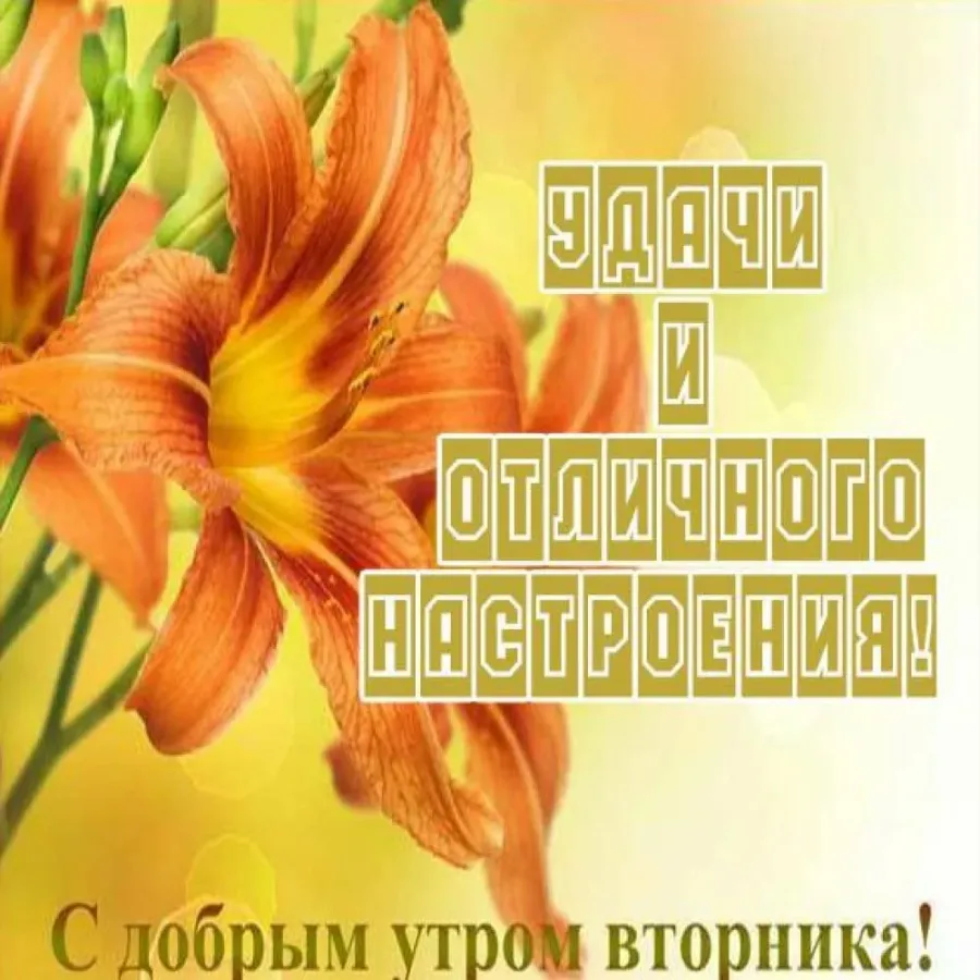 Доброе утро вторника. С добрым утром вторника пожелания. Доброе утро хорошего вторника. Открытки с добрым утром вторника.