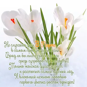 Скачивание изображения #137923