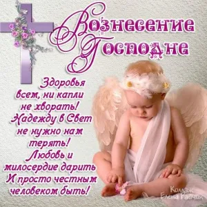 Скачивание изображения #491361