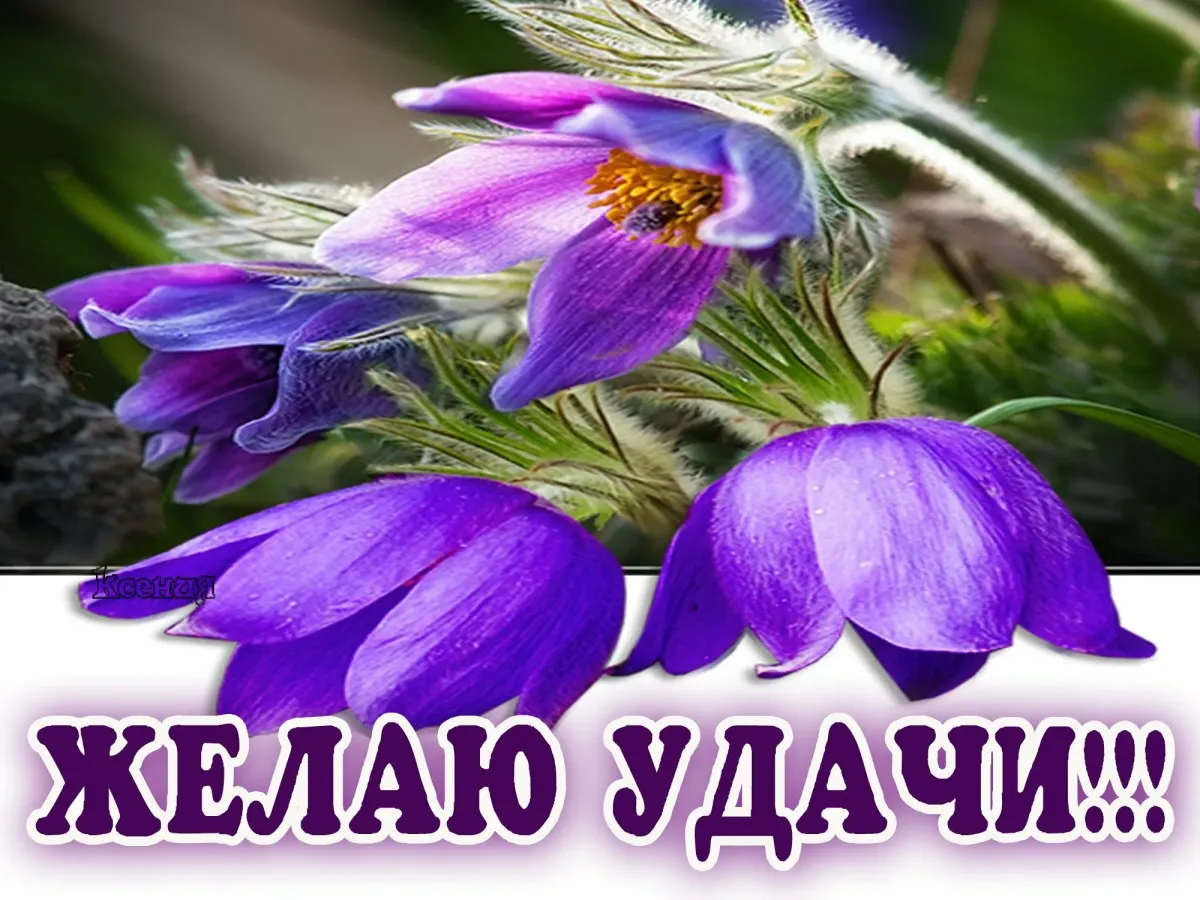 Удачи на операции как пожелать