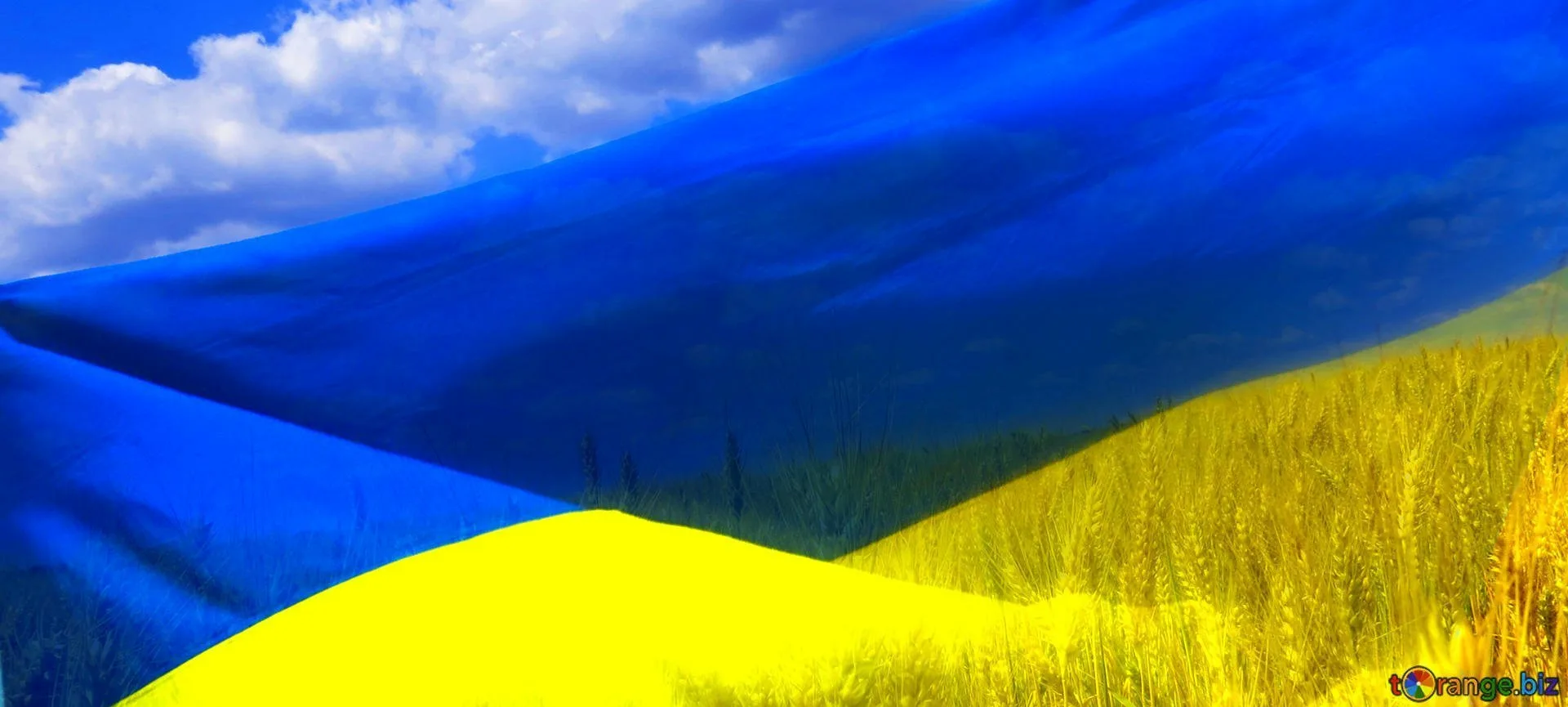 Фото День флага Украины #33