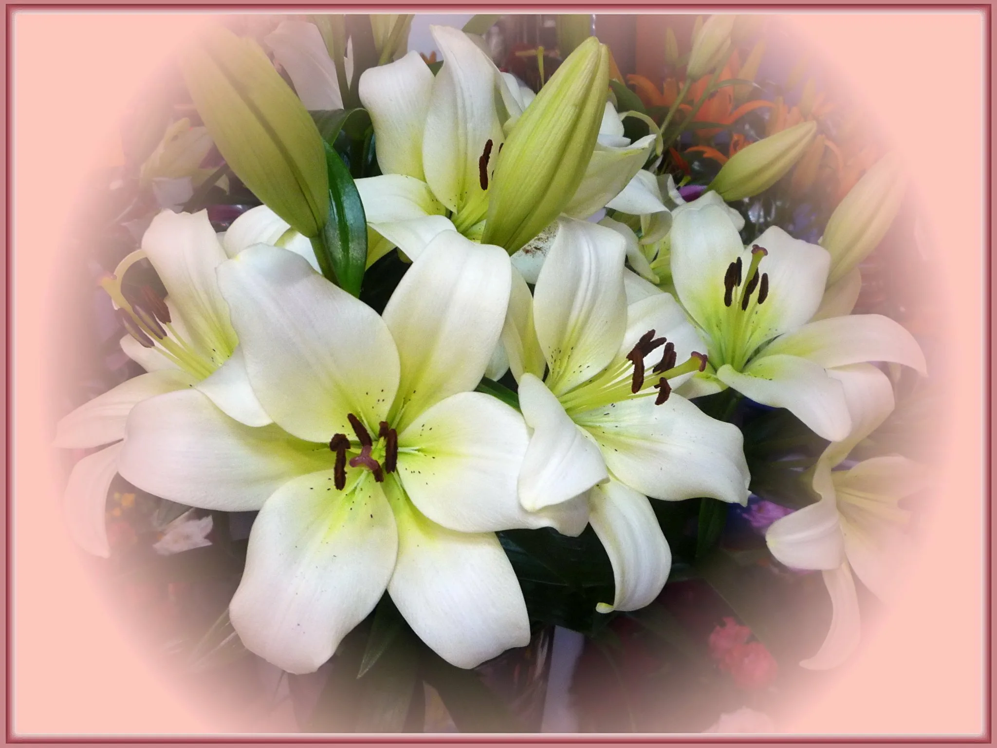 Красивое поздравление с днем рождения лилии. Лилия царственная букет. Лилия Франческа. Букет лилий с днем рождения. Лилии букет шикарный.