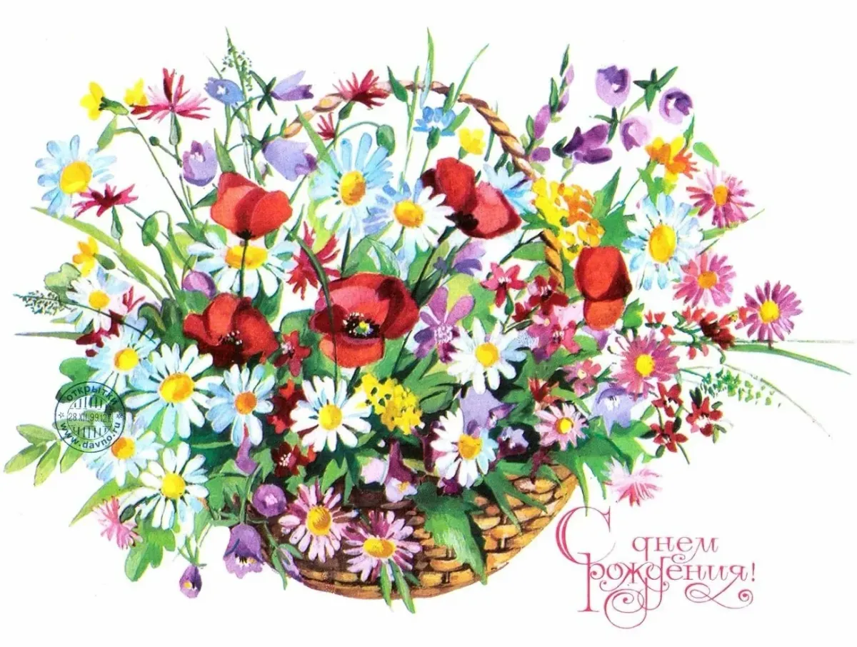 Красивые открытки поздравляем с цветами. Букет цветов «летний». Букет полевых цветов. Летние цветы рисунок. С днём рождения полевые цветы.