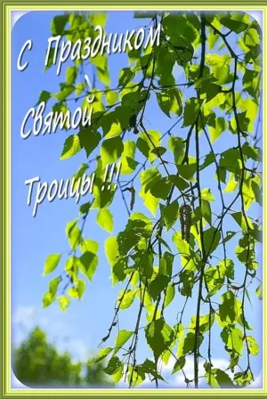 Скачивание изображения #324116