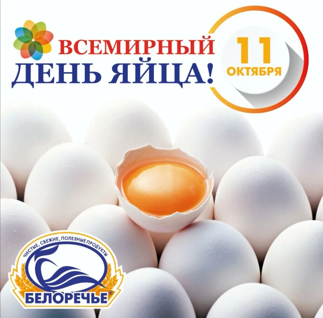 Фото Всемирный день яйца 2024 #35