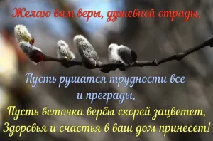 Скачивание изображения #311083