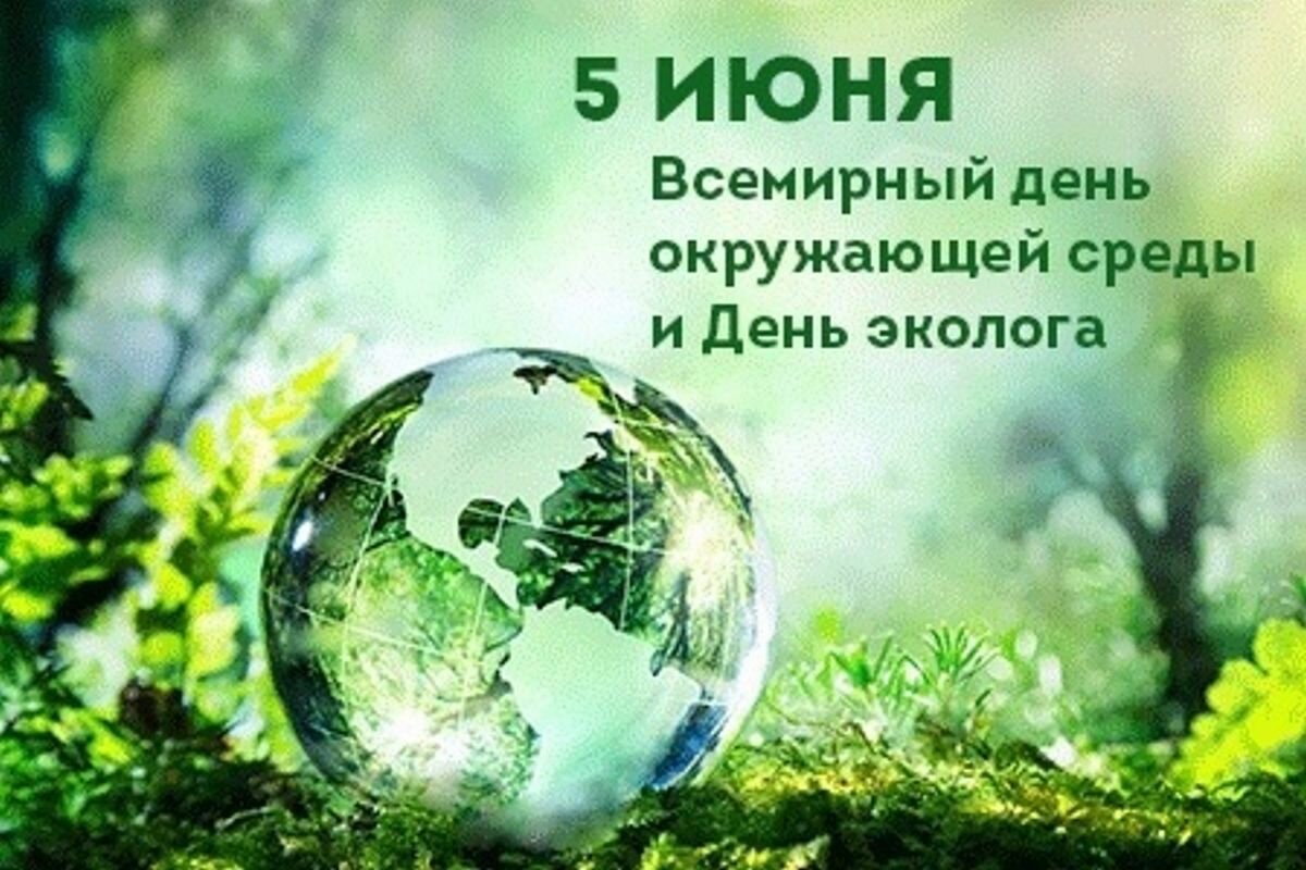 Фото День экологических знаний 2025 #36