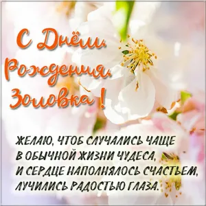Скачивание изображения #8126
