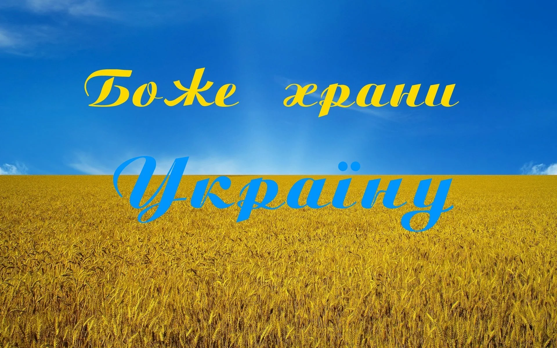 Фото День флага Украины #86