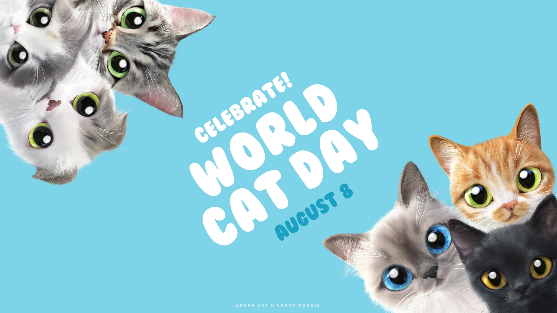 Фото День кошек 2025, поздравления в День кота #93