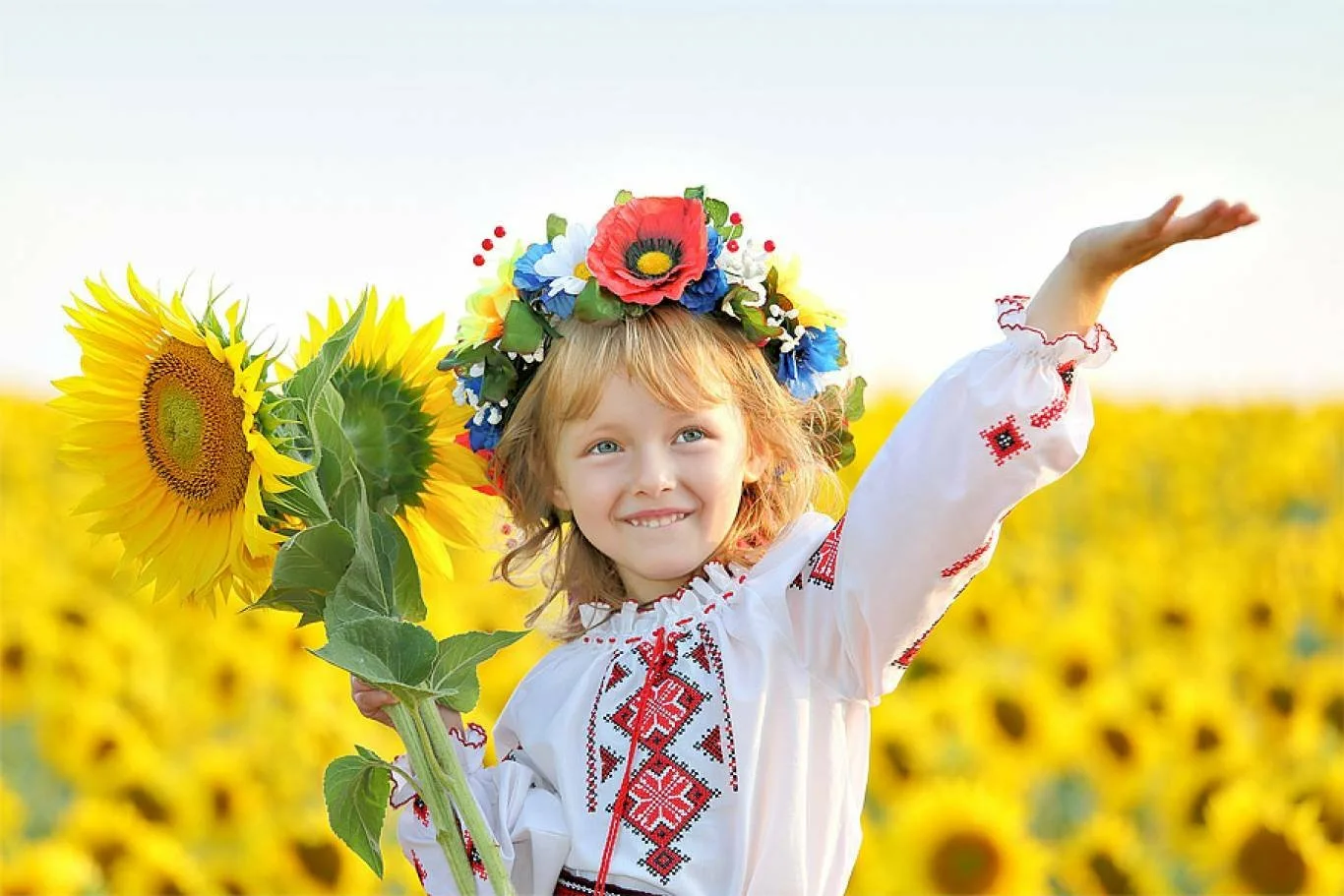 Дети в вышиванках. Украинка в поле. День независимости Украины. Украинские дети в вышиванках.