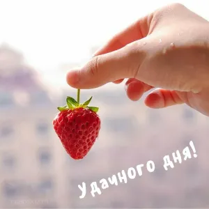 Скачивание изображения #230424