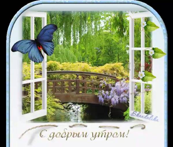 Удачного Дня Природа Картинки Анимации