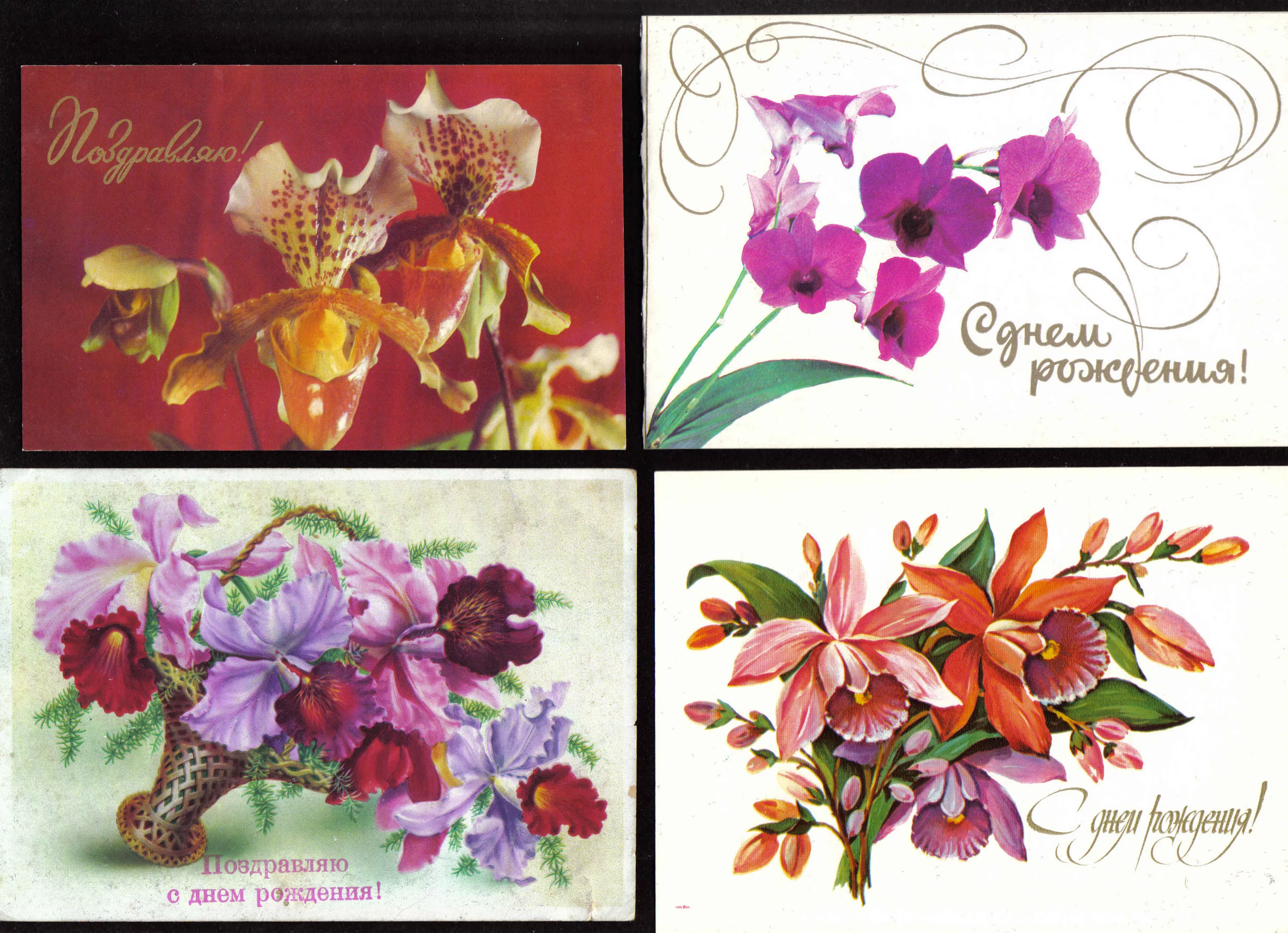 Фото Стихи к подарку орхидея #51