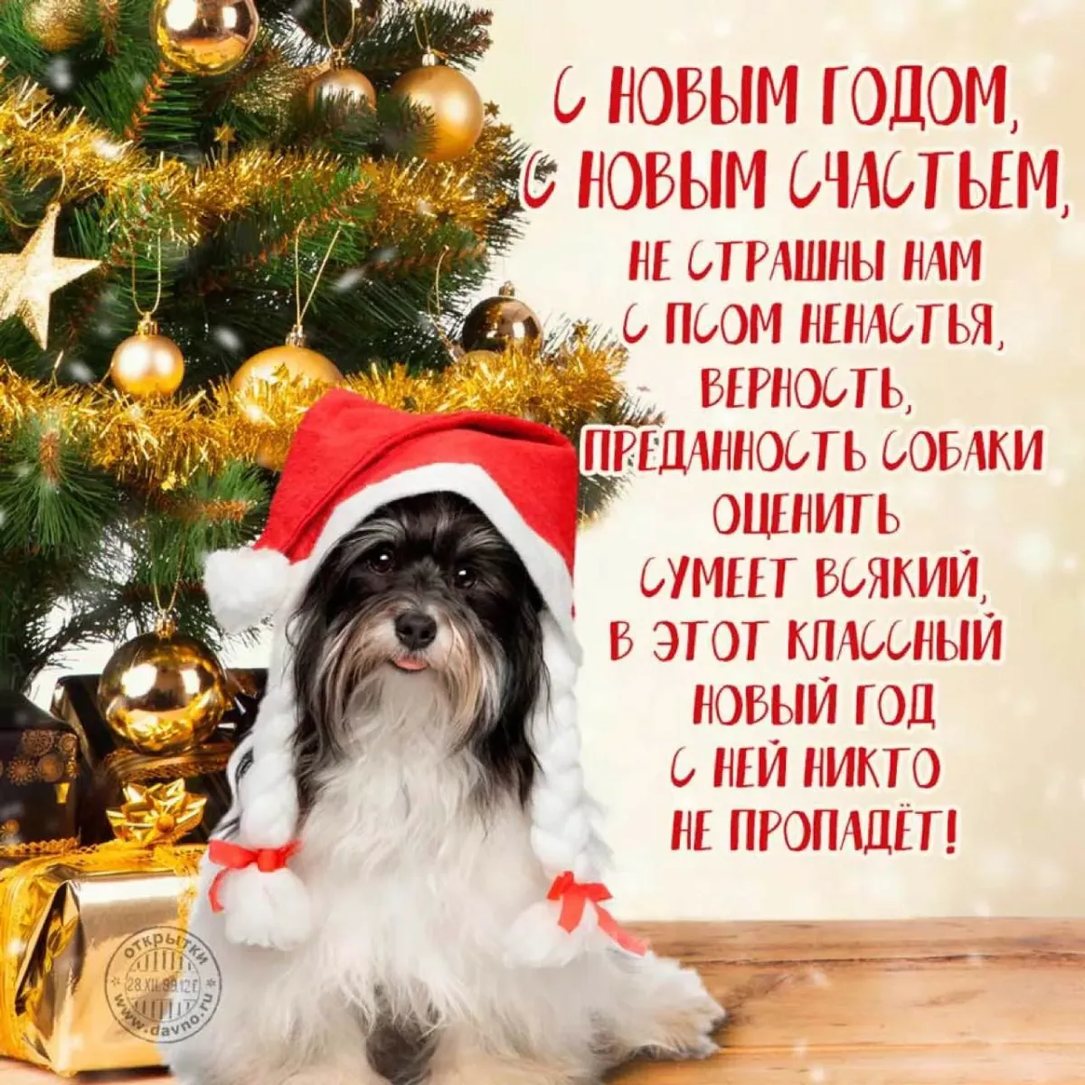Поздравление с новым годом. С новым годом собаки. Новогодние открытки с собаками. Поздравления с новым годом 2018 собаки. Поздравления с днем новый год