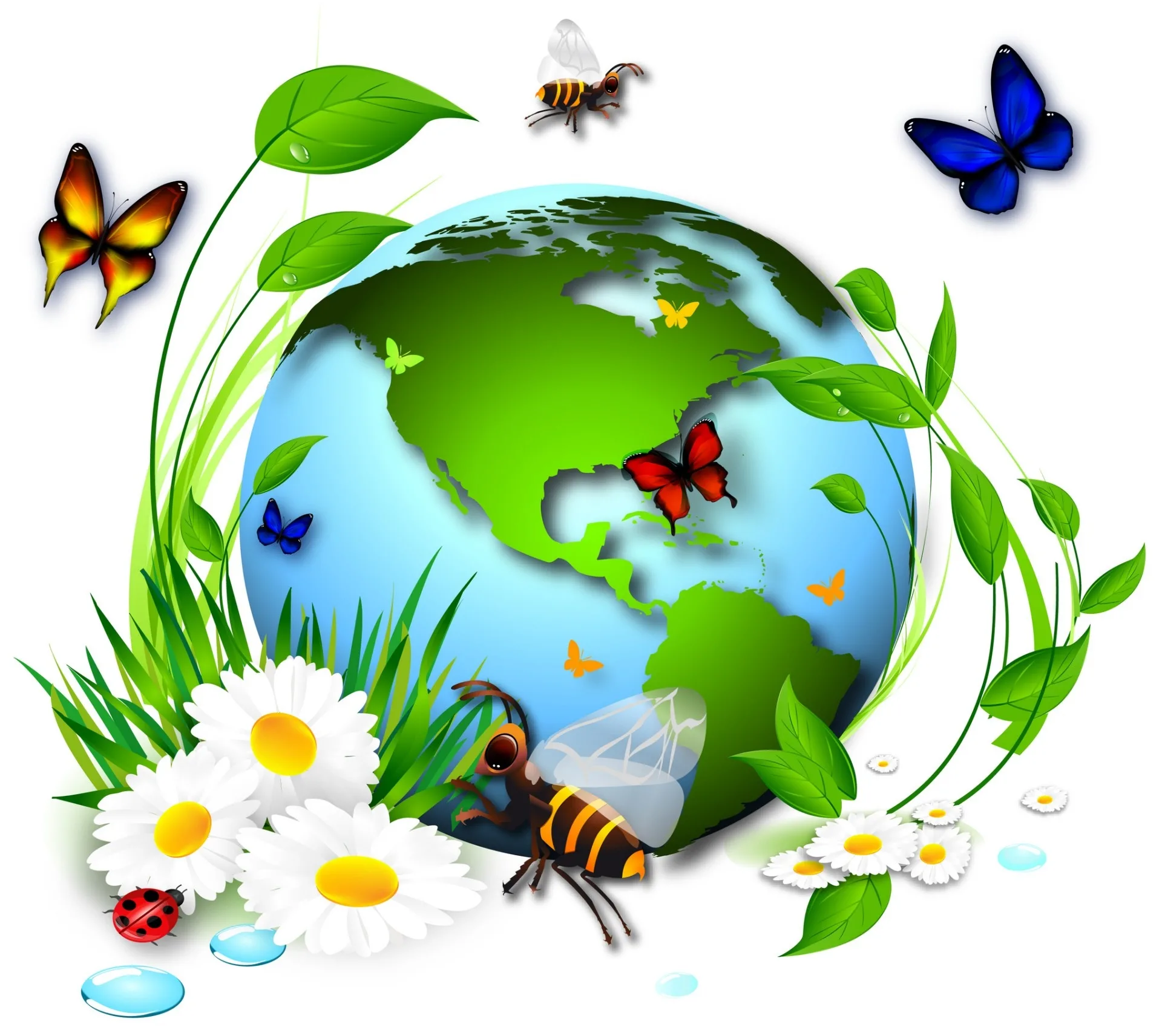 Окружающая среда и птицы. Детям об экологии. Природа наш дом. Экологическое воспитание. Эколог это для детей.
