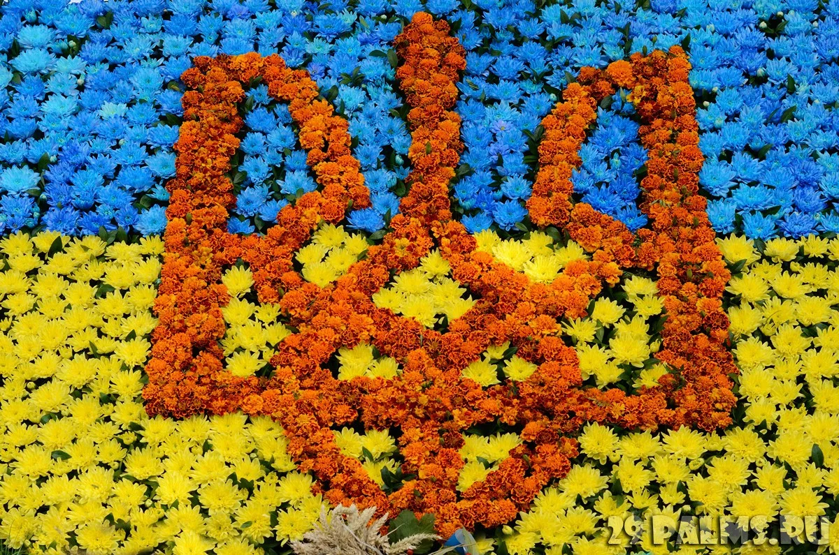 Фото День флага Украины #79