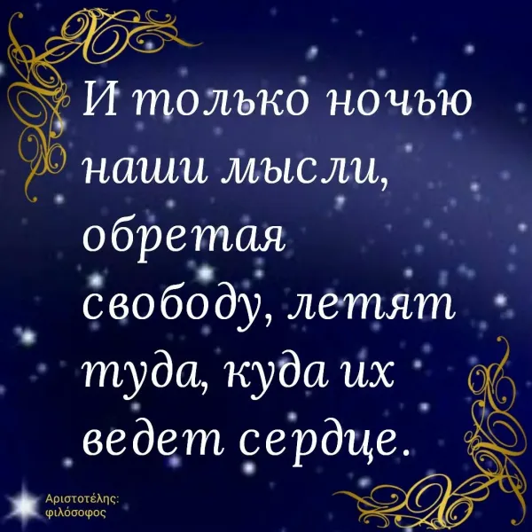 Спокойной ночи цитата