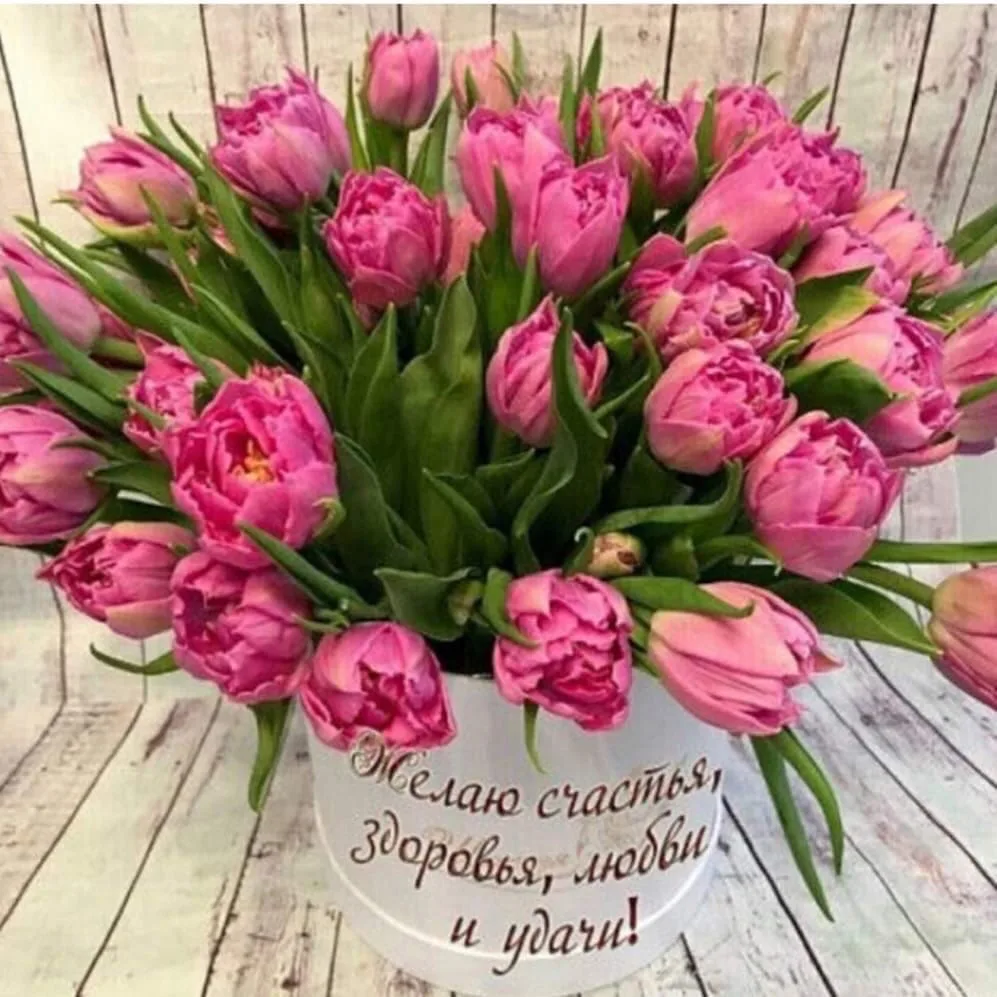 Тюльпаны открытки красивые с пожеланиями. С днём рождениятюльпаны. С днём рождения тюльпаны. С днём рождения женщине тюльпа. С днём рождения тюльпанв.