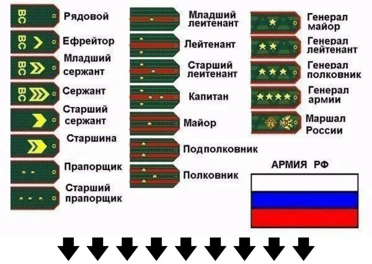 Звания от рядового до Генерала армии. Погоны Российской армии от рядового до Маршала. Погоны и звания в армии России 2021. Звания и погоны сухопутных войск Российской армии.