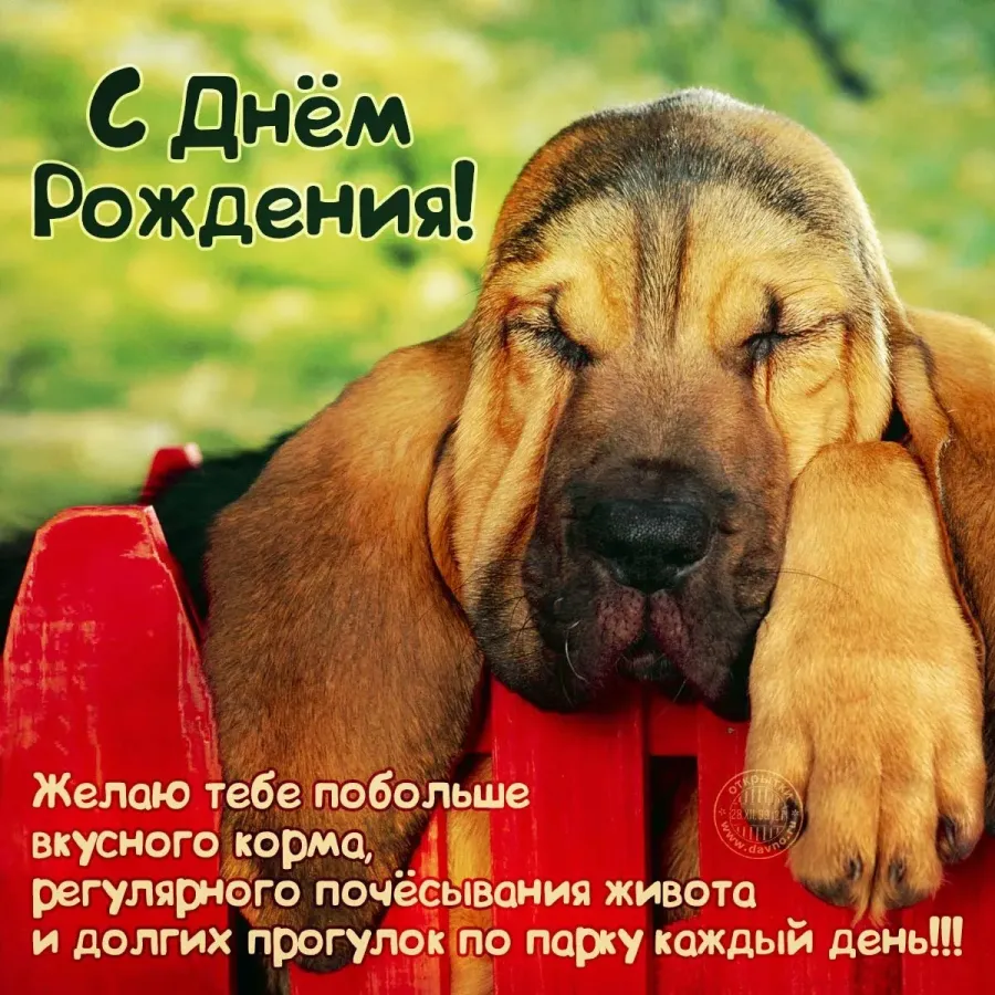 Поздравление с прошедшим с днем рождения мужчине