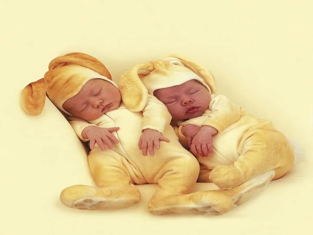 С днем рождения картинки двойняшкам мальчикам. Куклы Анны Геддес Ежик. Поздравляю с двойняшками.