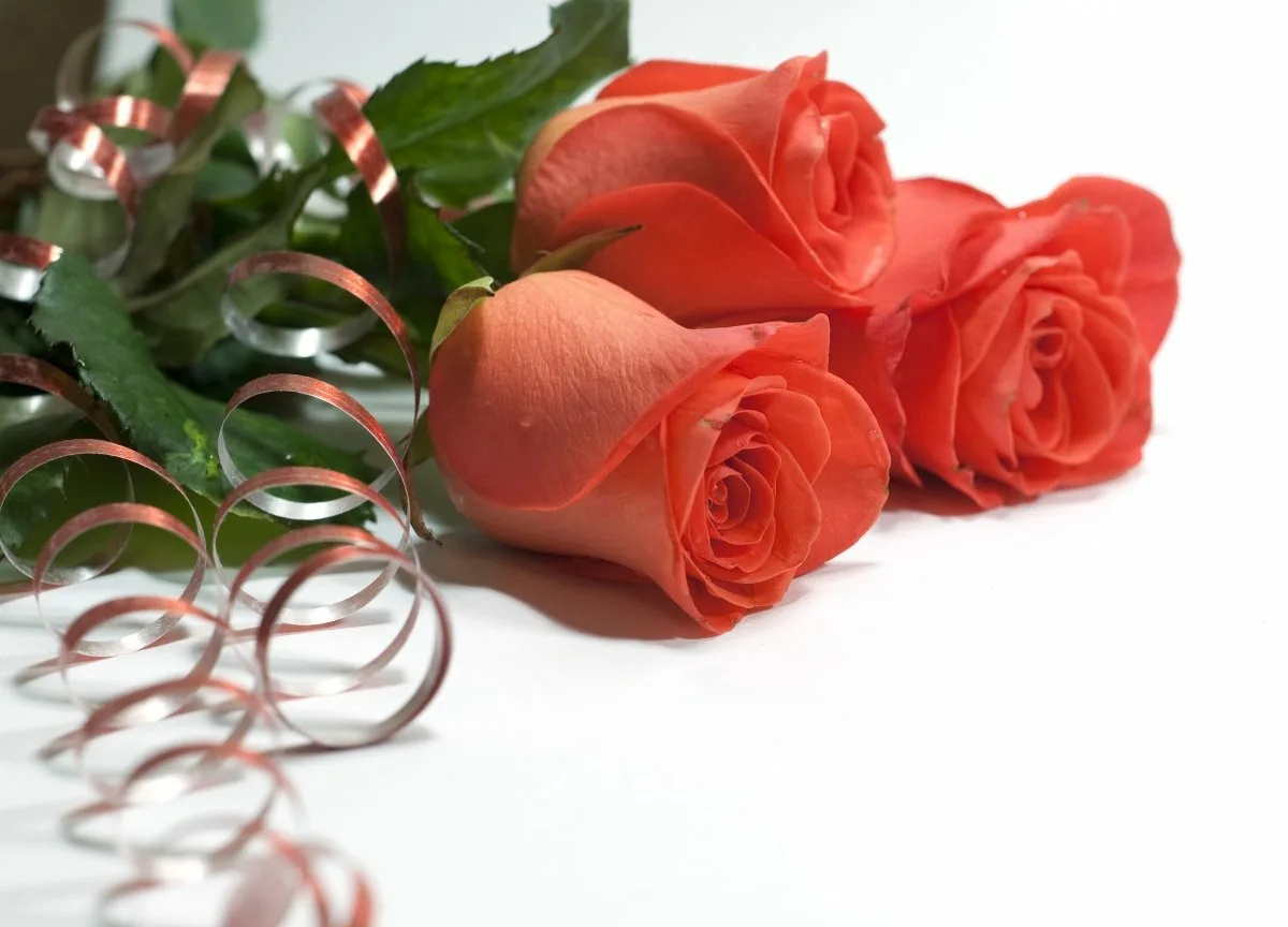 Поздравительная открытка розе. Поздравляю с днём рождения. Поздравительная открытка. Открытка цветы. С днем рождения розы.